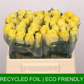 product/img.floraplaza.nl/RGOO35-LIVE_fotos-0x094BD56E4ED8C4117181EF9B36A05C6214686E12.jpg