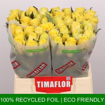 product/img.floraplaza.nl/RGOO4-LIVE_fotos-0x7CA0432A36C93FF6AEFD283A50E28C6ABA99F58E.jpg