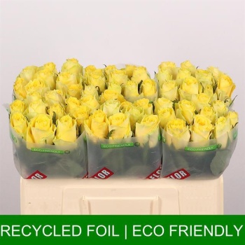 product/img.floraplaza.nl/RGOO5-LIVE_fotos-0xA4848EFEB3E02773358FD3D26CC1A2C2D29B13FC.jpg