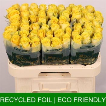 product/img.floraplaza.nl/RGOO6-LIVE_fotos-0xD4FF54A7C1ACC5C146BC612D1ECA022A317209AE.jpg