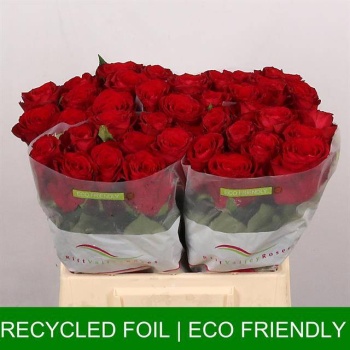 product/img.floraplaza.nl/RMAD4-LIVE_fotos-0x0EF630CE0B927B123BD5B64D34B269E312F6ACB7.jpg