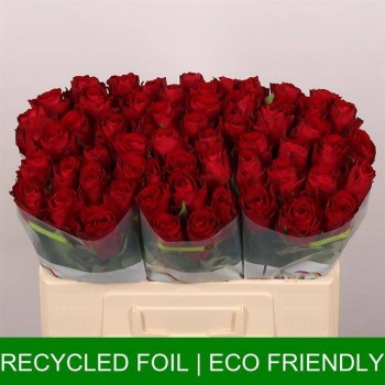 product/img.floraplaza.nl/RMAD5-LIVE_fotos-0x19A464ECEA38B2D6EFA9A5718352D0880B69AF1E.jpg