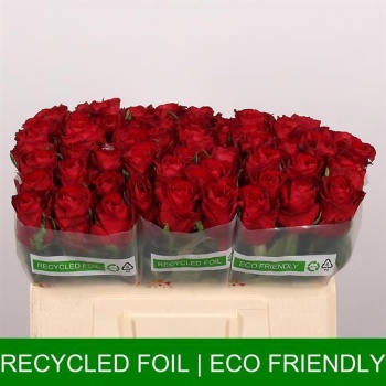 product/img.floraplaza.nl/RMAD5-LIVE_fotos-0x22E6ACF273ED6DF1C2A916ABD48F97FDC451FB34.jpg