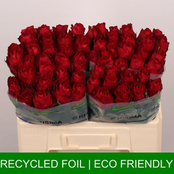 product/img.floraplaza.nl/RMAD5-LIVE_fotos-0x3381A15EC803AD77A7DE37A1ADF6EDA89BBE10DA.jpg