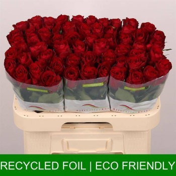product/img.floraplaza.nl/RMAD6-LIVE_fotos-0x54579665ED8DBD84668ACD760DE63DF39784D7DB.jpg