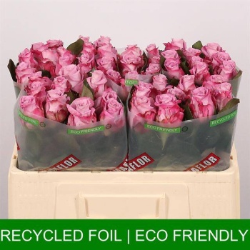 product/img.floraplaza.nl/RMAR5M-LIVE_fotos-0x881D0C652D06090737A1A98DC438D74E5127187B.jpg