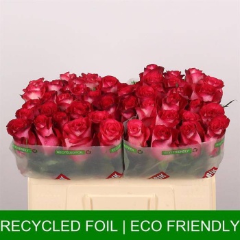 product/img.floraplaza.nl/RNIC5-LIVE_fotos-0x23D86A798BB1091004CE4AAA1E7E47E1F996BDDC.jpg