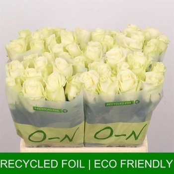 product/img.floraplaza.nl/RSNO4-LIVE_fotos-0x3D0F1097BDA2A61A892A236681EDC653A2AC2FB7.jpg