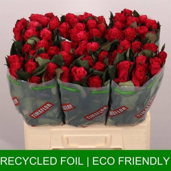 product/img.floraplaza.nl/RTAC6-LIVE_fotos-0x0ACEAC1FF38310B1EFE59E75DFEE3C3B03382D39.jpg