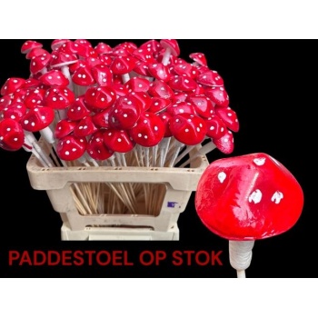 product/img.floraplaza.nl/STIMUSH60-LIVE_fotos-0xAEA51C191757F5EDF34C797791892B8BF5C76A1B.jpg