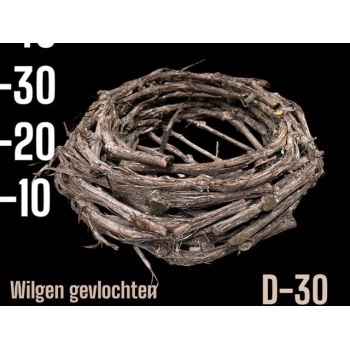 product/img.floraplaza.nl/WRESAL30-LIVE_fotos-0x0DC53A81A11088F8E17128450C6CE36FD668716C.jpg