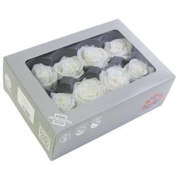 RME3000-03-rosa-medium.jpg