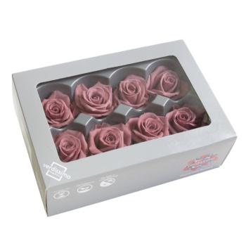 RME3480-03-rosa-medium.jpg