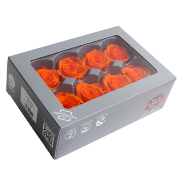 RME3530-03-rosa-medium.jpg