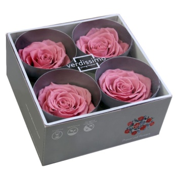 RSG2480-03-rosa-premium.jpg