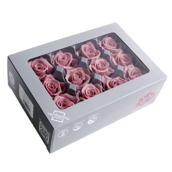 RSM1481-03-rosa-mini.jpg