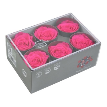 RST243G-03-rosa-standard-1.jpg