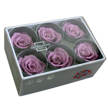 RST283G-03-rosa-standard.jpg