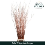 Salix Copper 110cm (tk)
