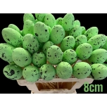 Stick Egg Muna Green 50cm
