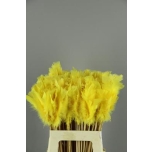 Stick Feather Sulg 14cm Yellow 50cm
