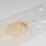 Dried Palm Spear Round Bleached 110cm (tk)
