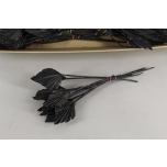 Dried Palm Spear small Black 40cm (tk)
