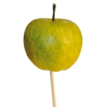 Stick Apple Õun Ø6cm Green 50cm