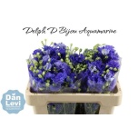 Delphinium Kukekannus Bijou Aquamarine 50cm