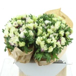 Anemone Ülane mistral ov 45cm