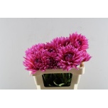 Dahlia Daalia Barbie 55cm