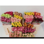 Roos 50cm mix Everflora