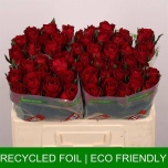 Roos 50cm Madam Red