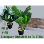 Kunstlill Monstera/Calathea d13 h40
