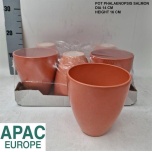 Pot phalaenopsis salmon d14 h16