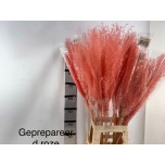 Dried grass red tk