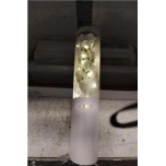 Rose Box White + LED lights 50cm