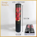 Rose Box Red + LED lights 50cm