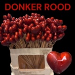 Stick Heart Süda Ø4cm Shiny Red 60cm