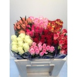 Roos 60cm mix (Zuurbier & Co Int.)