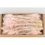 Dried Lagurus Porcellana