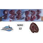 Anthurium Flamingolill Nero