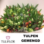 Tulp si mix