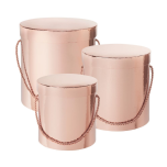 HAMILTON HAT BOX SO3 ROSE GOLD 3TK