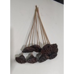 Dried Lotus Stick Natural (tk)