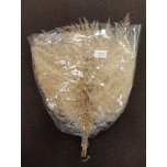Dried Brackenfern bleached White 10pcs (pk)