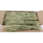 Dried Hordeum Natural 250g (pk)