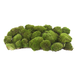 Polemoss Green Bulk XL (CAJA)