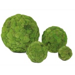Stabiliseeritud samblapall Esfera Musgo Bola Mediana Ø40cm