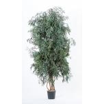 Stabiliseeritud Tree Nicoly Wide 180cm